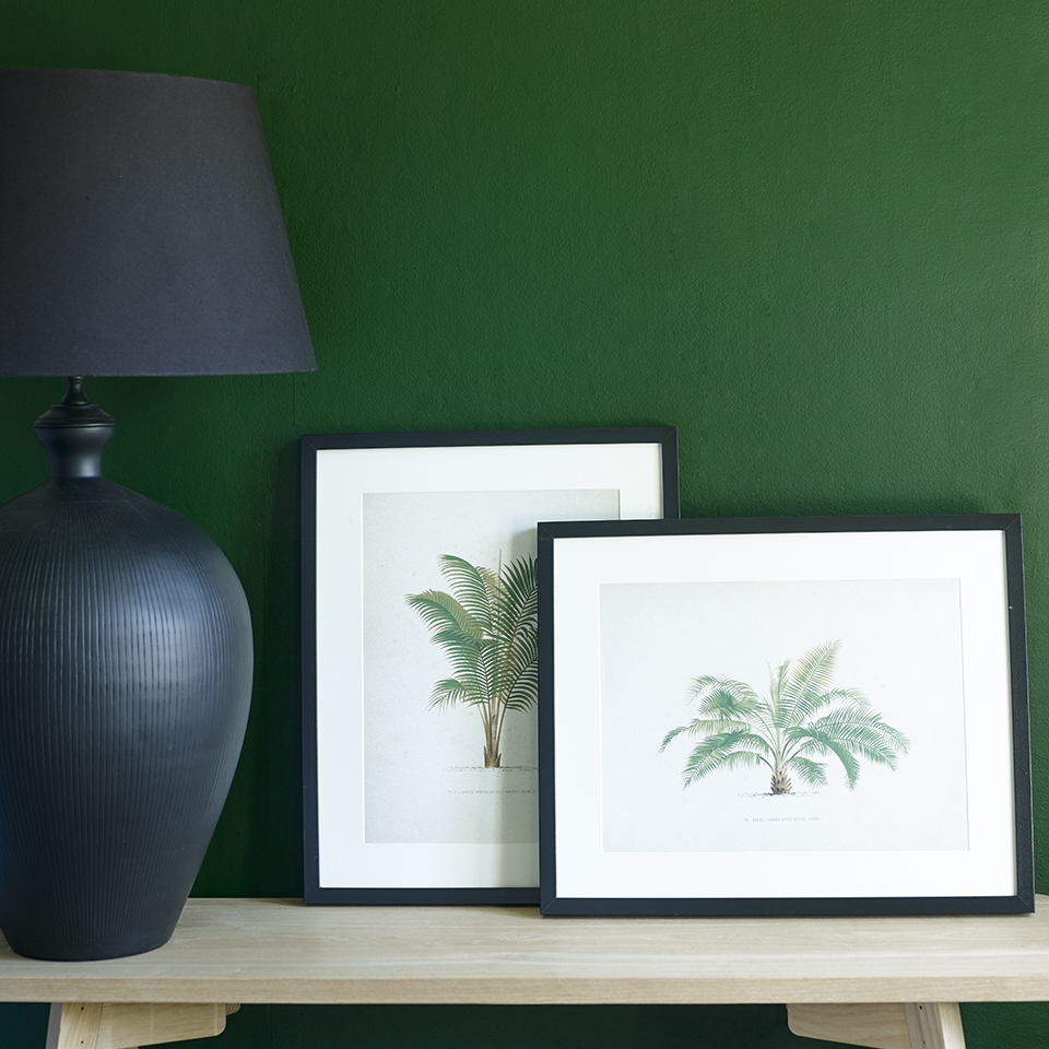 Engelsk grønn FR6095 960.jpg