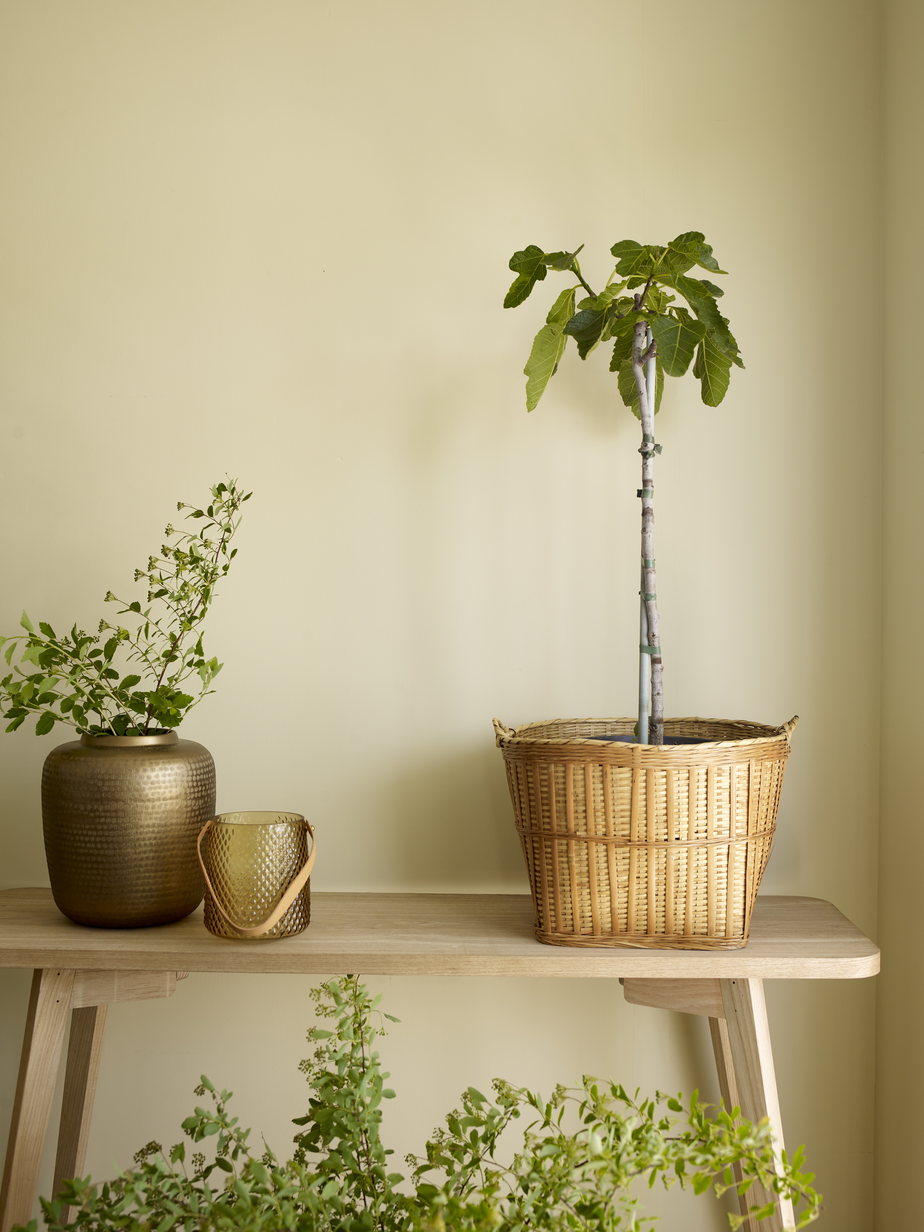 Fargerike ÅF 22 Farge 1_02.jpg