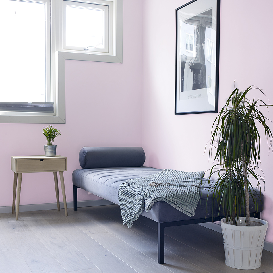 FR1113 Kirsebærblomst 960.jpg