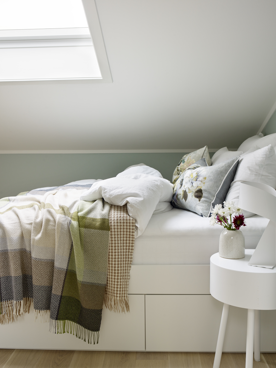 FR1156 Frost Holtegt 01[1].jpg