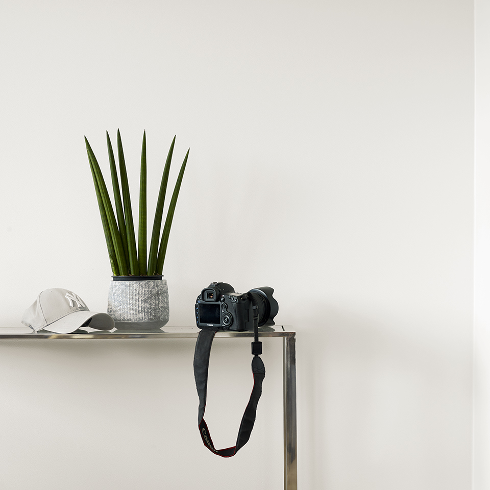 FR1383 Kongeøsters 960.jpg