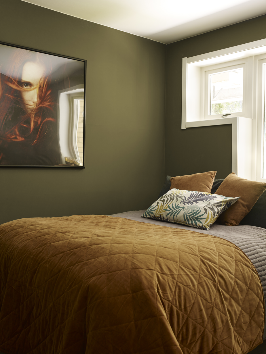 FR1386 Olivenrot.jpg