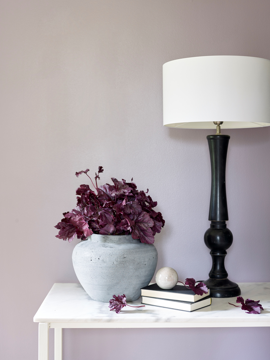 FR1452 Galaksevendt.jpg