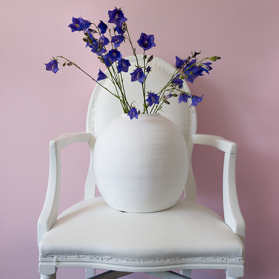 FR1725 Baronesserosa 960.jpg