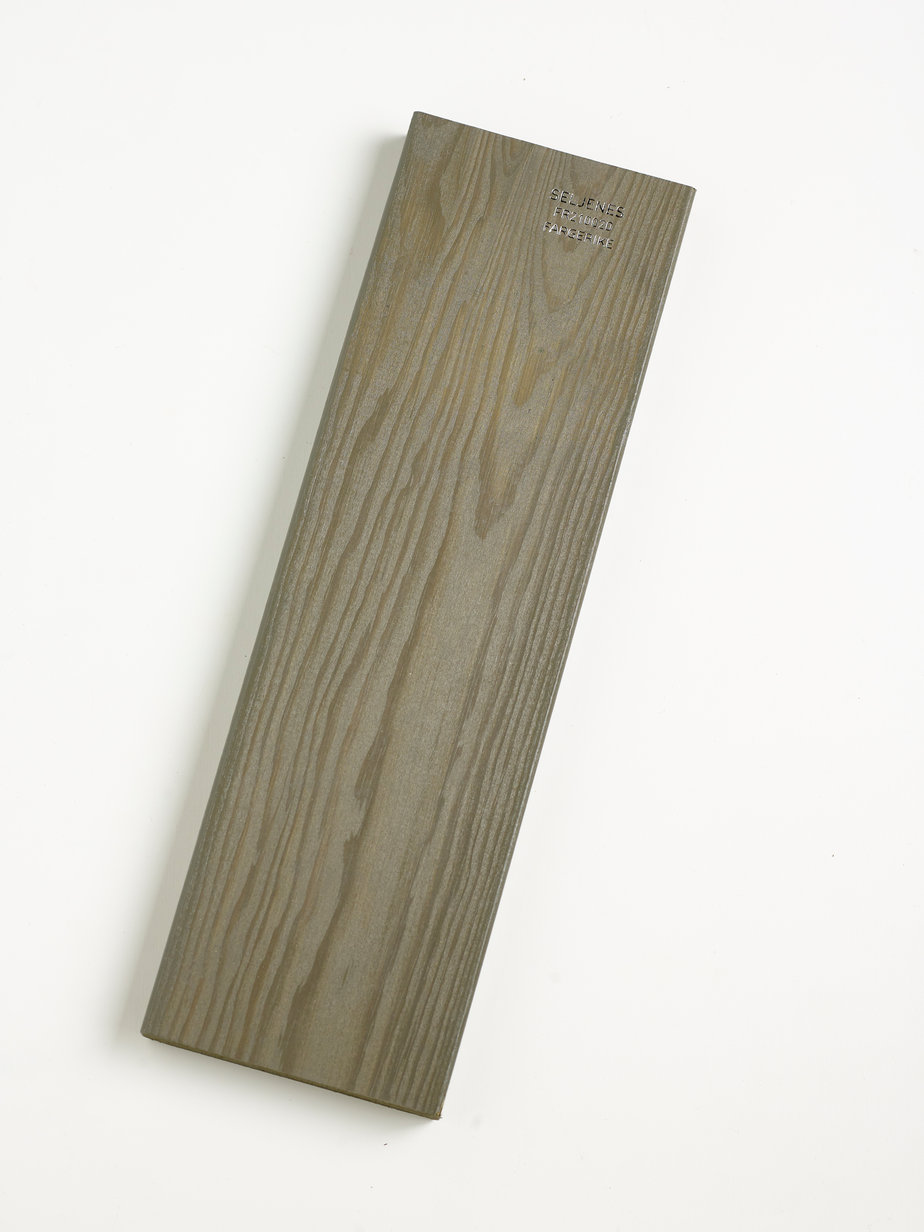 FR210020 Seljenes.jpg