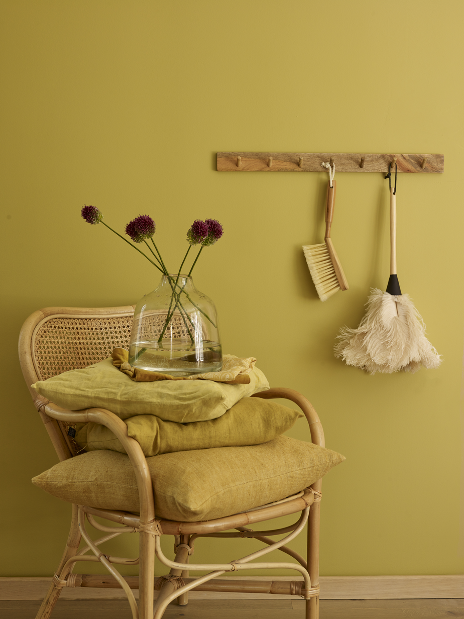 Savannegress FR1342.jpg