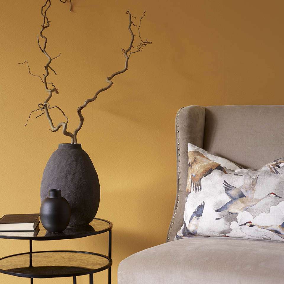 Gullbær FR1381 960.jpg