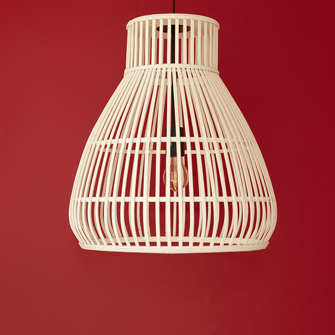 Hibiscus FR1187 960.jpg