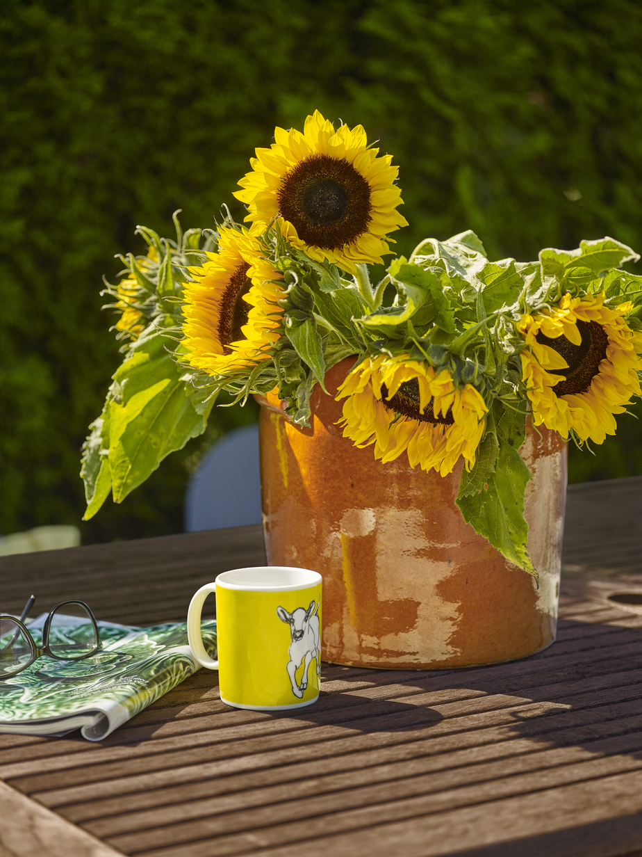 KASTANJEALLE FR210010.jpg