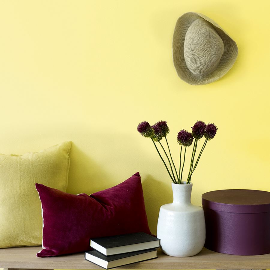 Lemonade FR1158 960.jpg