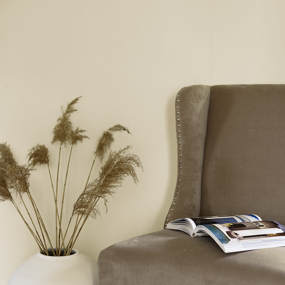 Magnolia FR1314 960.jpg