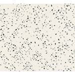 Storeys New Walls 373942