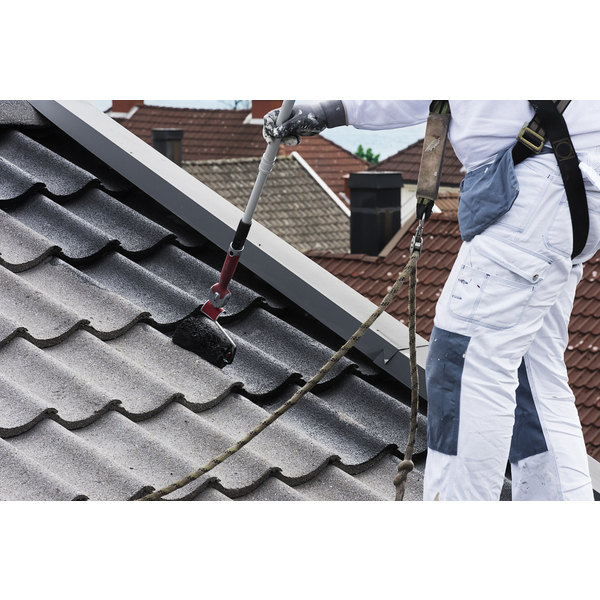 Scanox Taksitt Grunning For Takstein 10 l