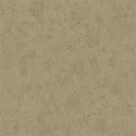 Storeys Sans ST1924 Curious Mind