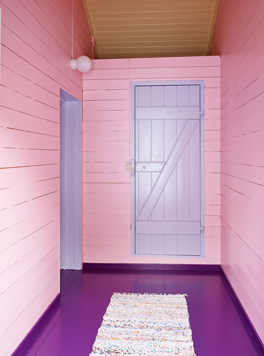 Pelargonia FR1317.jpg