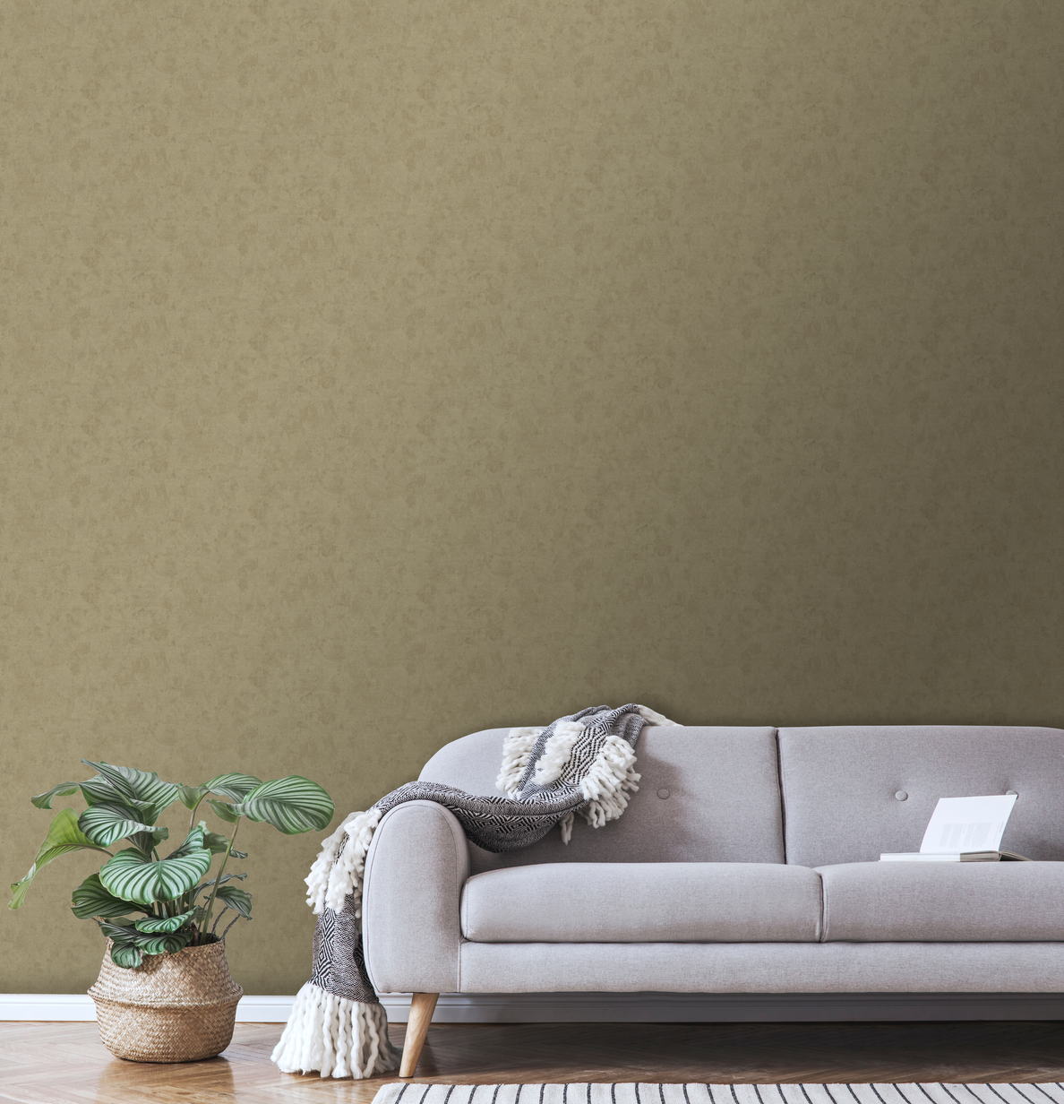 Storeys Sans ST1924 Curious Mind