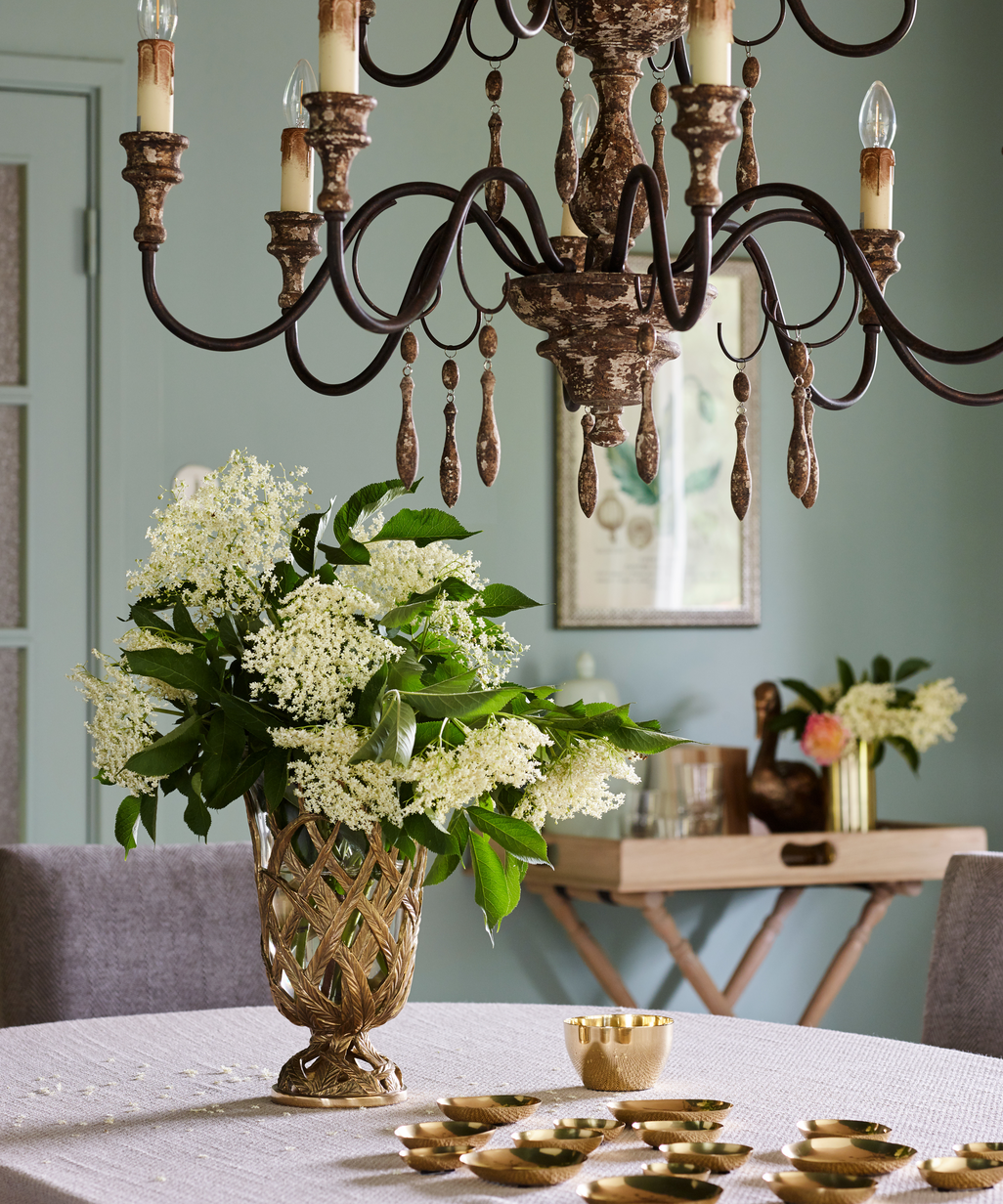 Salix Aba FR1464, ÅF2019.jpg