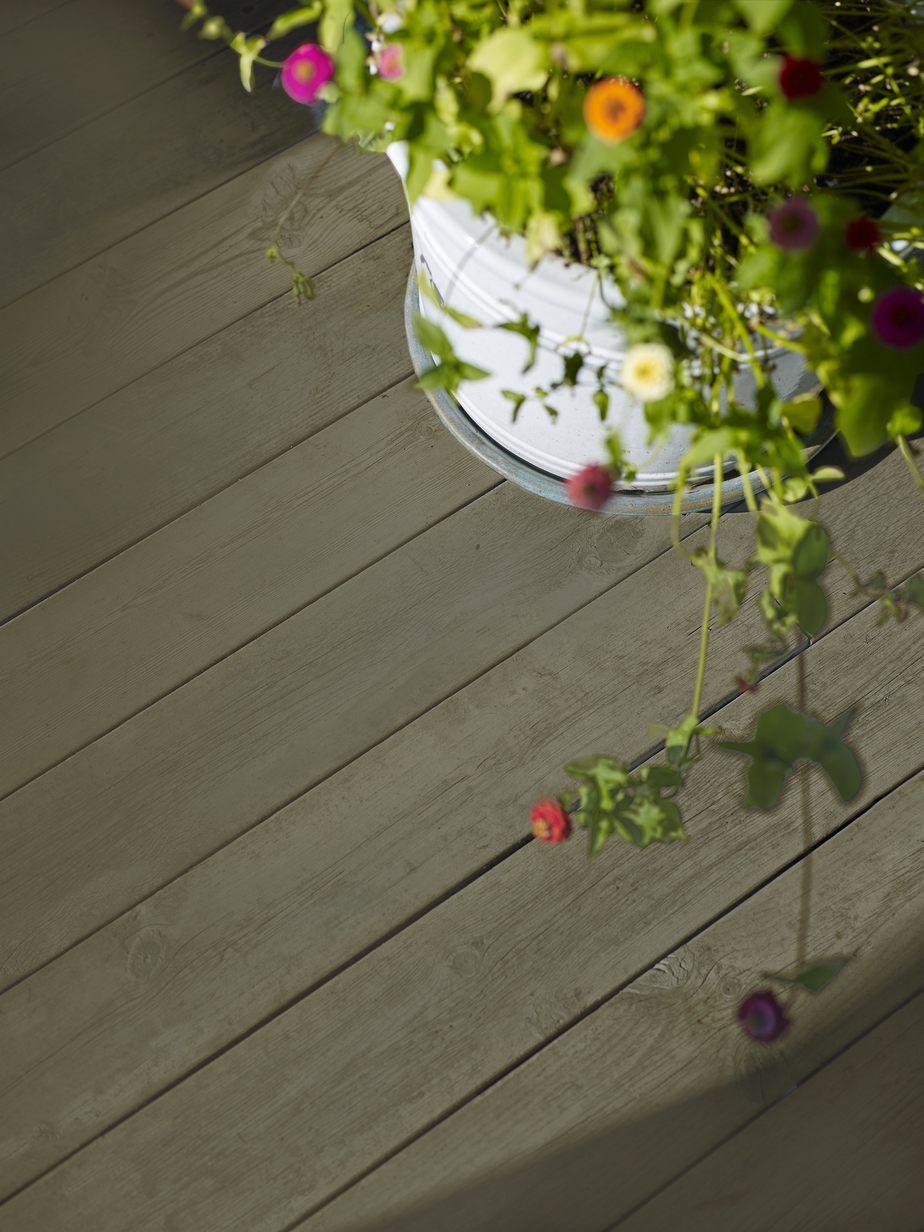 SELJENES FR210020.jpg