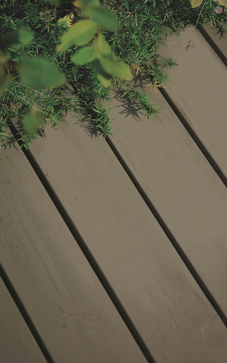 SELJENES FR210020[1].jpg