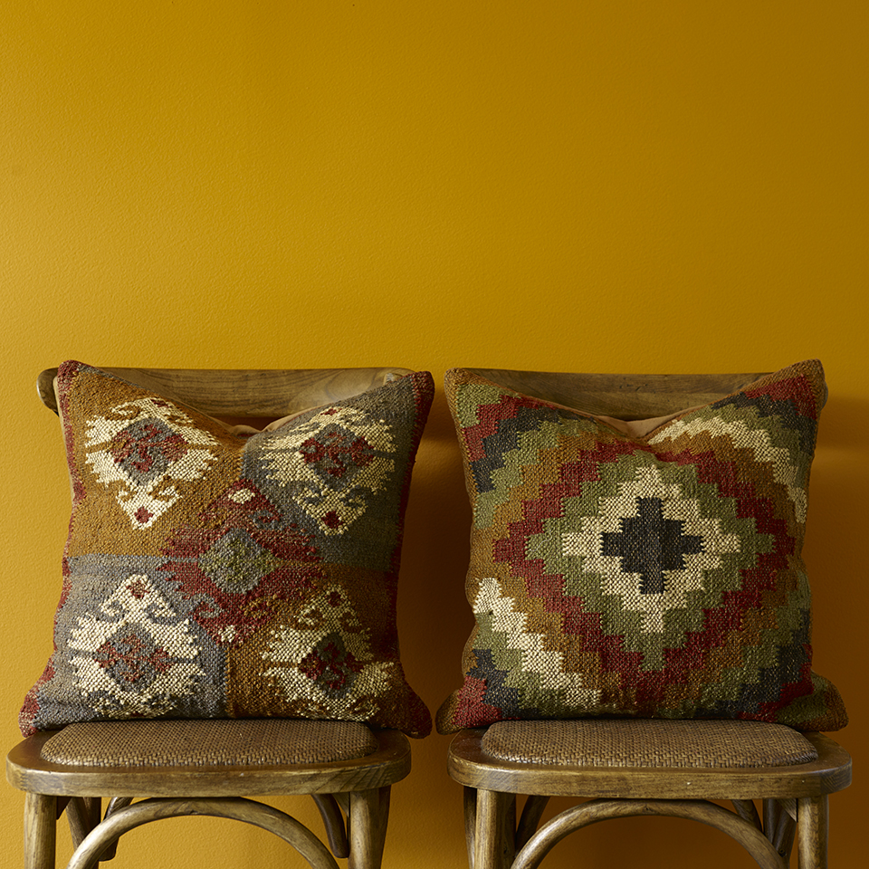 Sennep FR1166 960.jpg