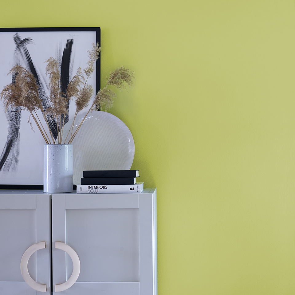 Shampo FR2045 960.jpg