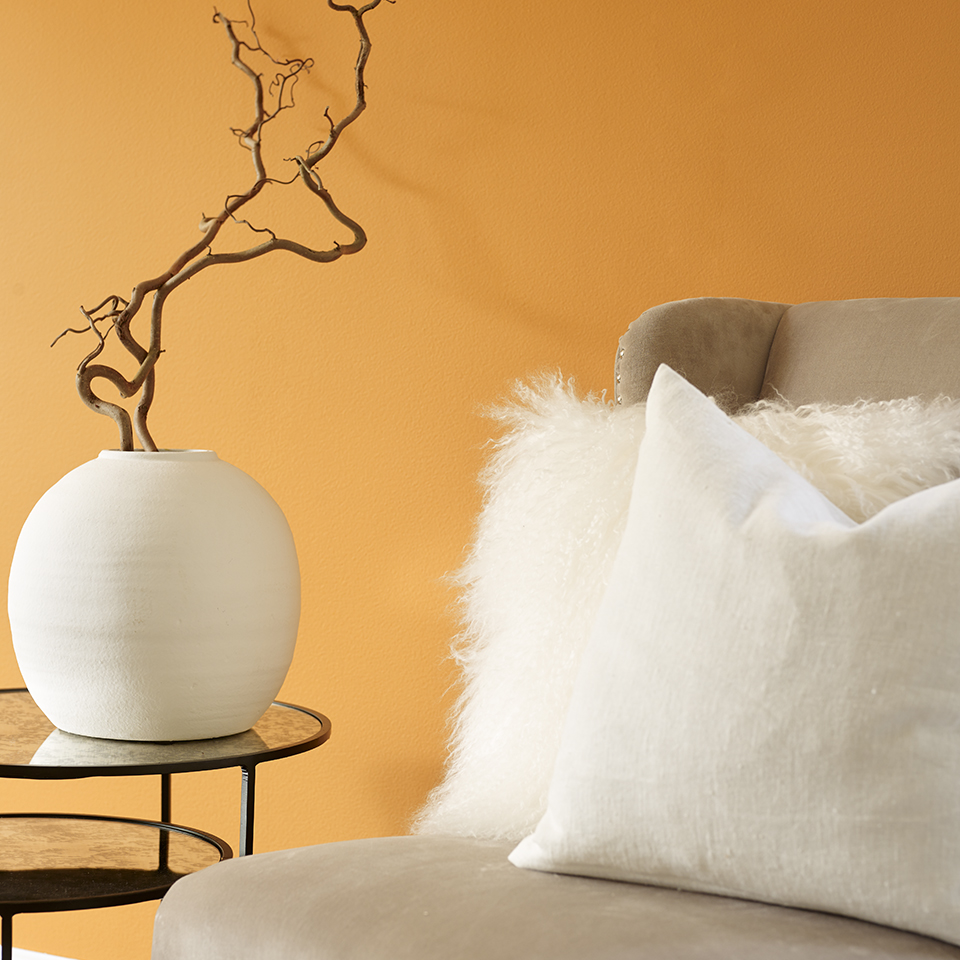 Sinesiss FR1093 960.jpg