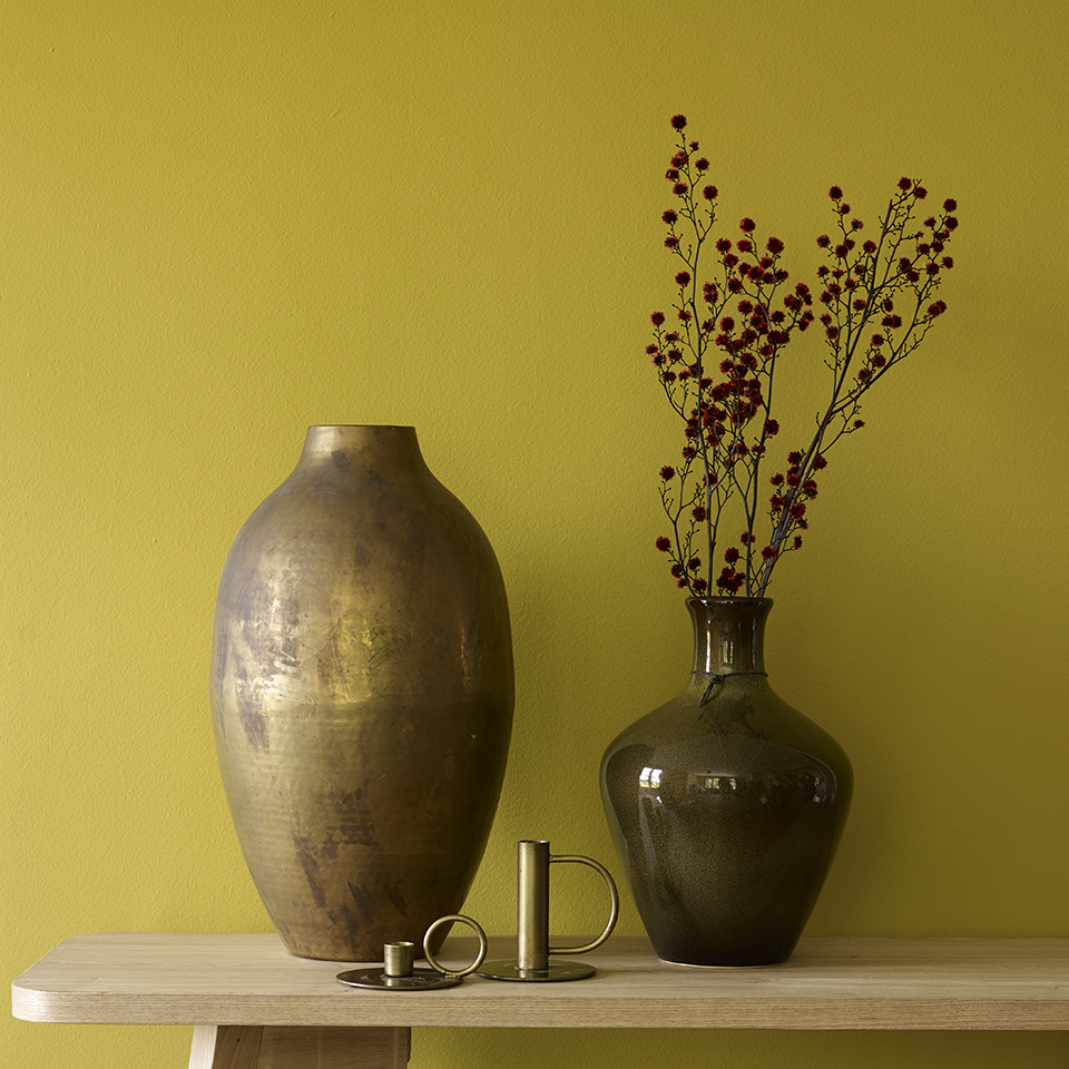 Skilpadde FR1164 960.jpg