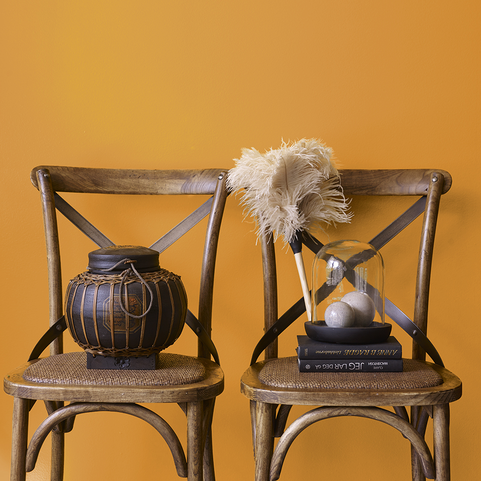 Solsikke FR1575 960.jpg