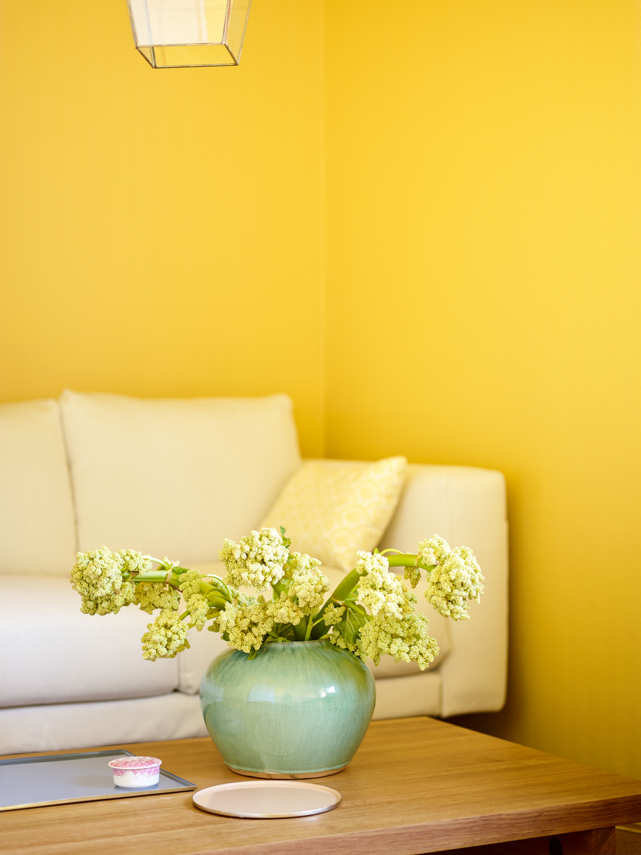 Solstikk FR1145-3.jpg