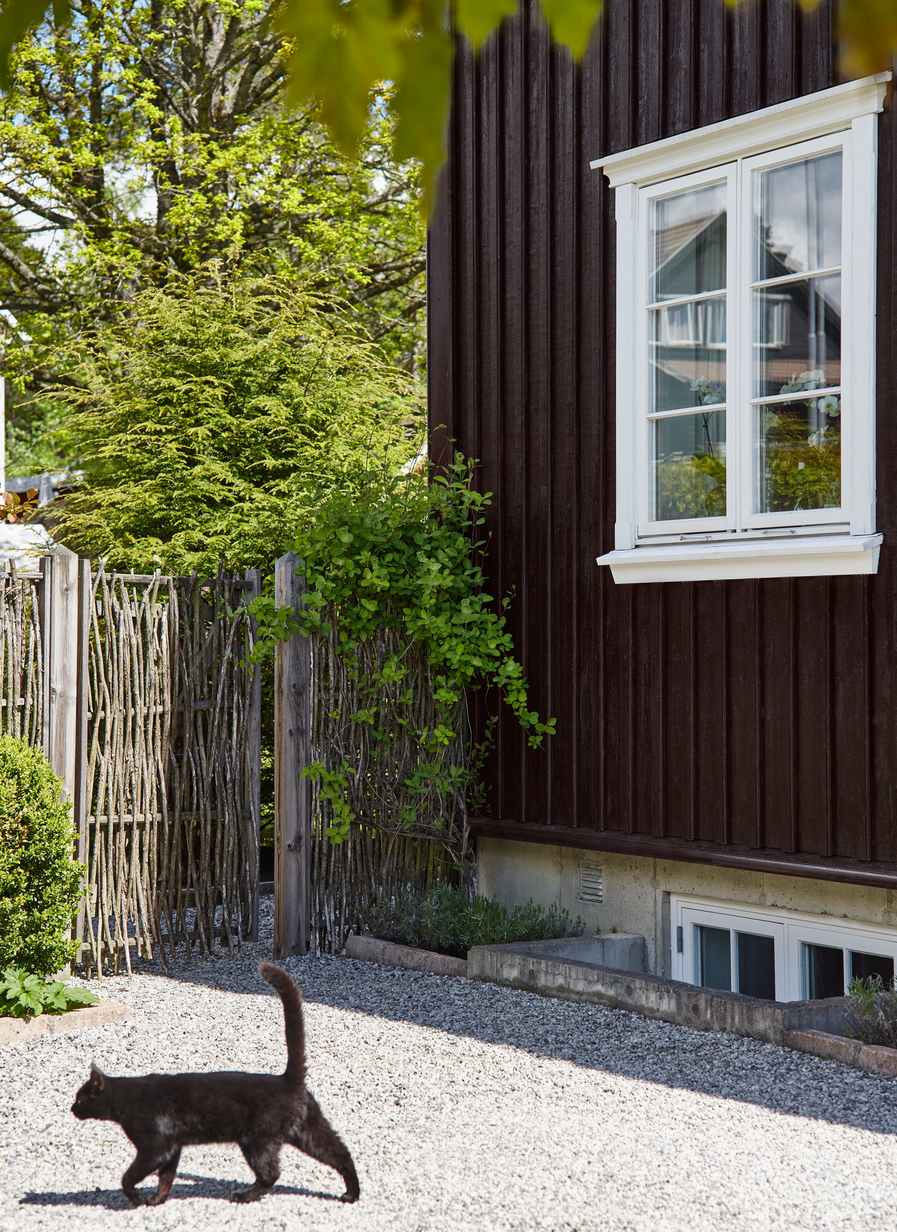 TJÆREBRUN FR9115[1].jpg