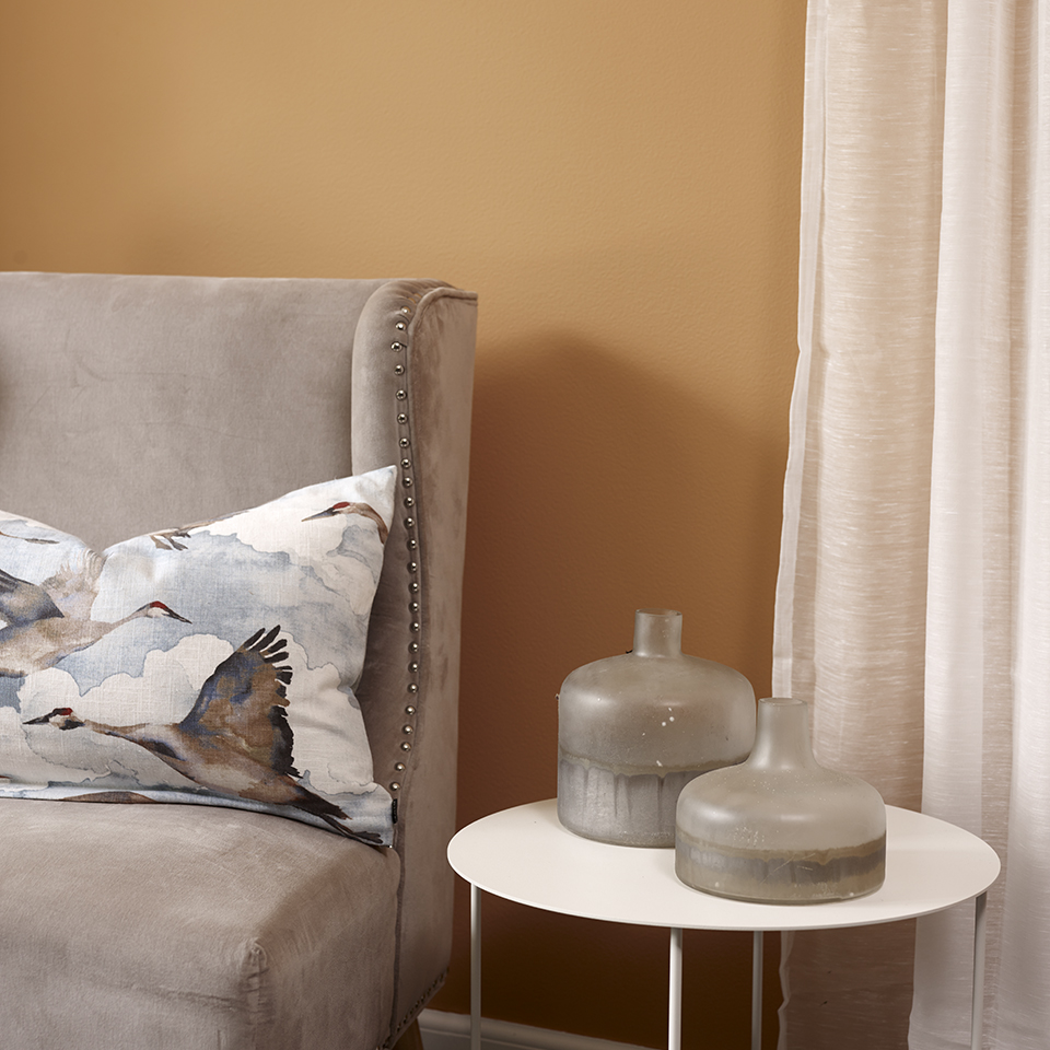 Tradisjonsgul FR1900 960.jpg