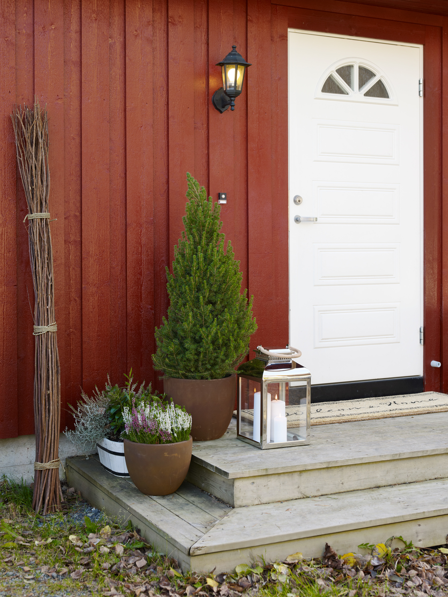 Vestlandsrød FR6165.jpg