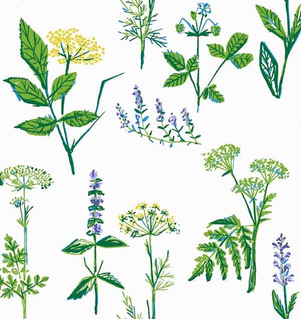 Boråstapeter Köksväxter 1789