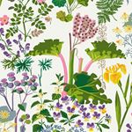 Boråstapeter Rabarber 1792