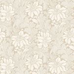Acanthus 2011