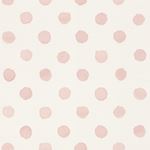 Storeys Kids World 252019