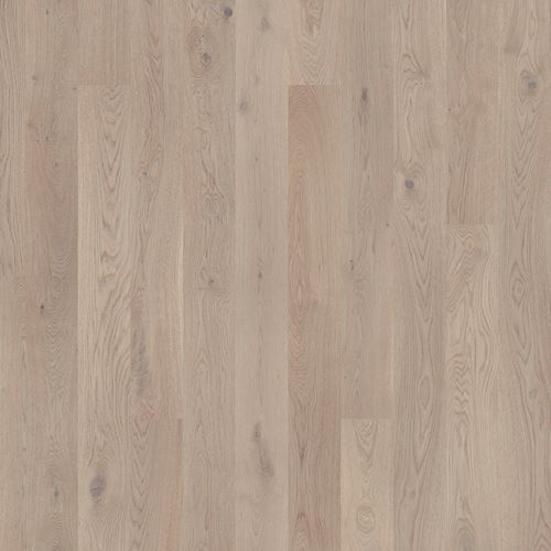 Tarkett Grace Grey Chiffon Oak Parkett