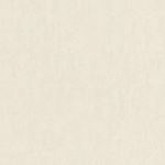 Storeys Plains 301600