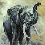 Storeys TRAVERTINO 33099