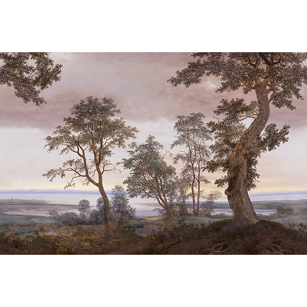 Storeys Magnifique 351291 Panel