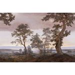 Storeys Magnifique 351291 Panel