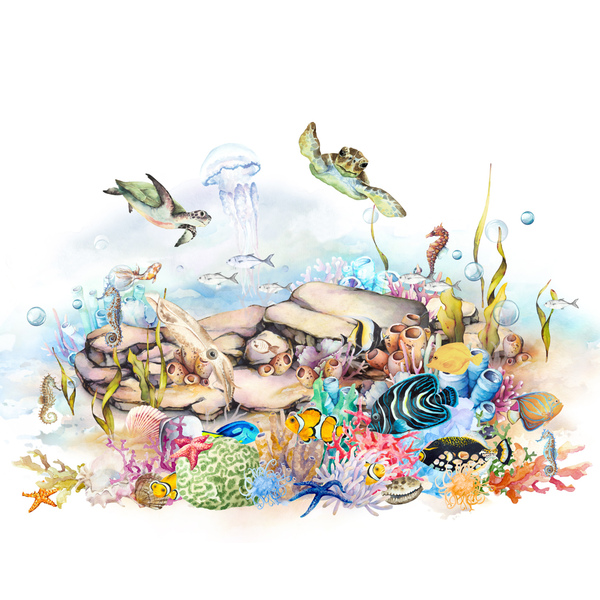 Storeys Kids World 365030