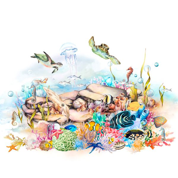 Storeys Kids World 365030