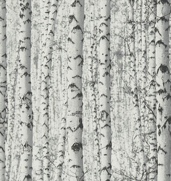 Storeys Botanical 38719-1