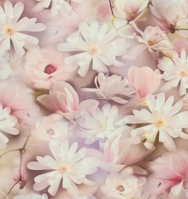 Storeys Botanical 38722-2