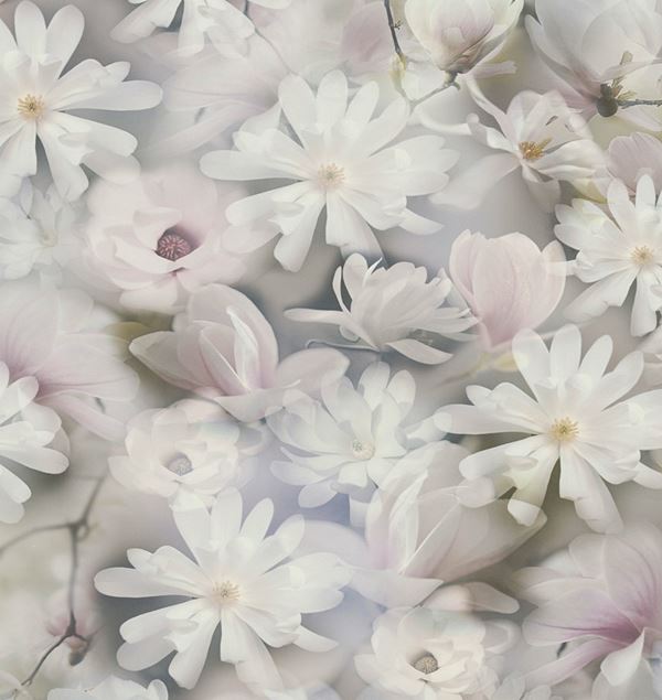 Storeys Botanical 38722-3