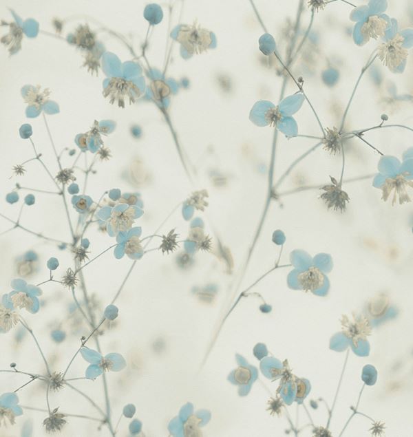 Storeys Botanical 38726-2