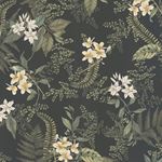 Storeys Drawn Into Nature 394244