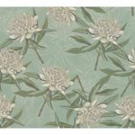 Storeys Drawn Into Nature 394322