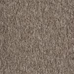 Carus 1010 Beige 650 Teppelflis